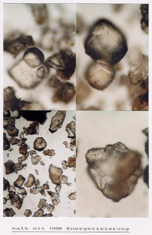 UMH Hexagon Gold - deine Premium Ergänzung